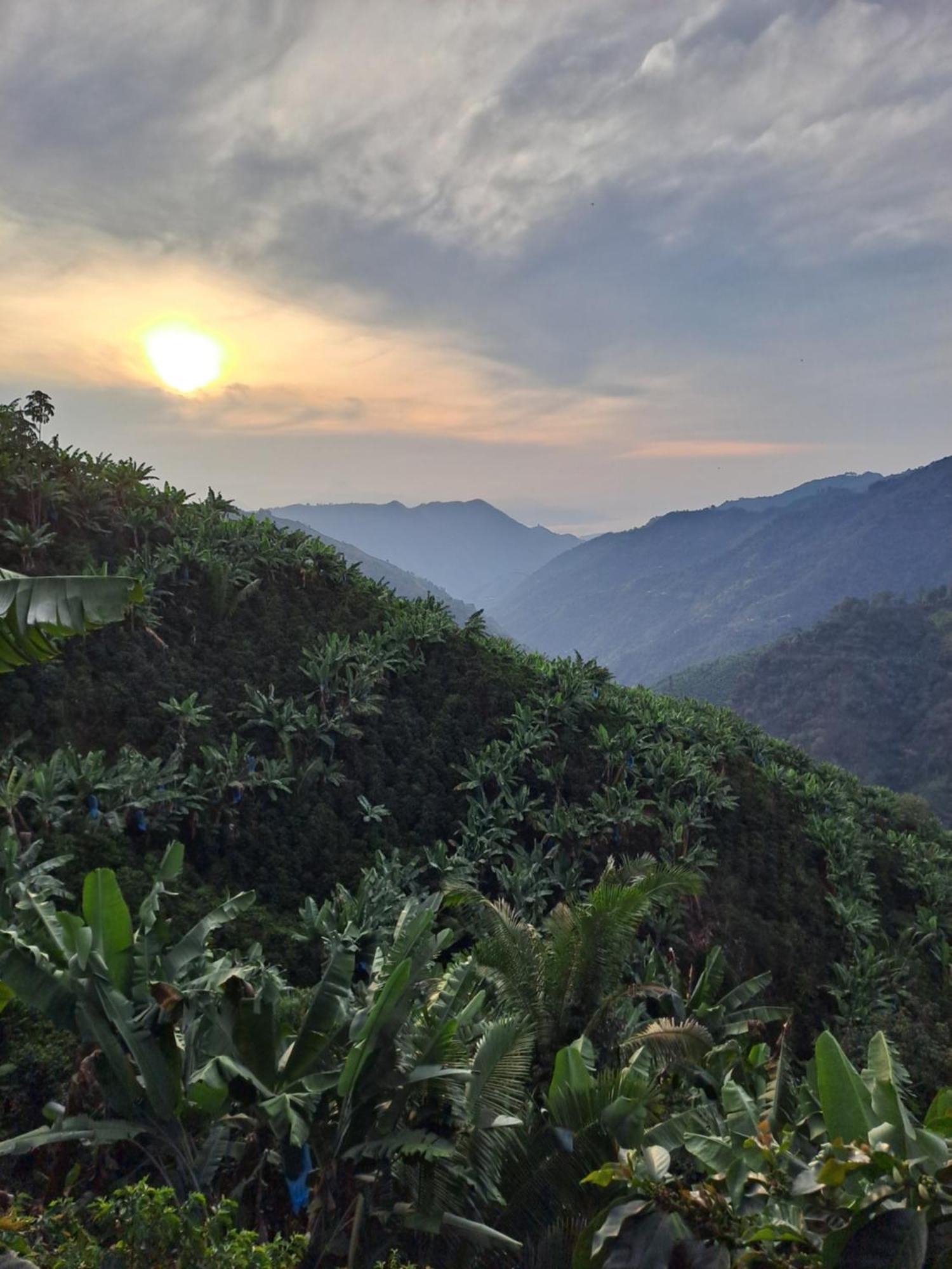 Salgar  Finca La Manchuria المظهر الخارجي الصورة