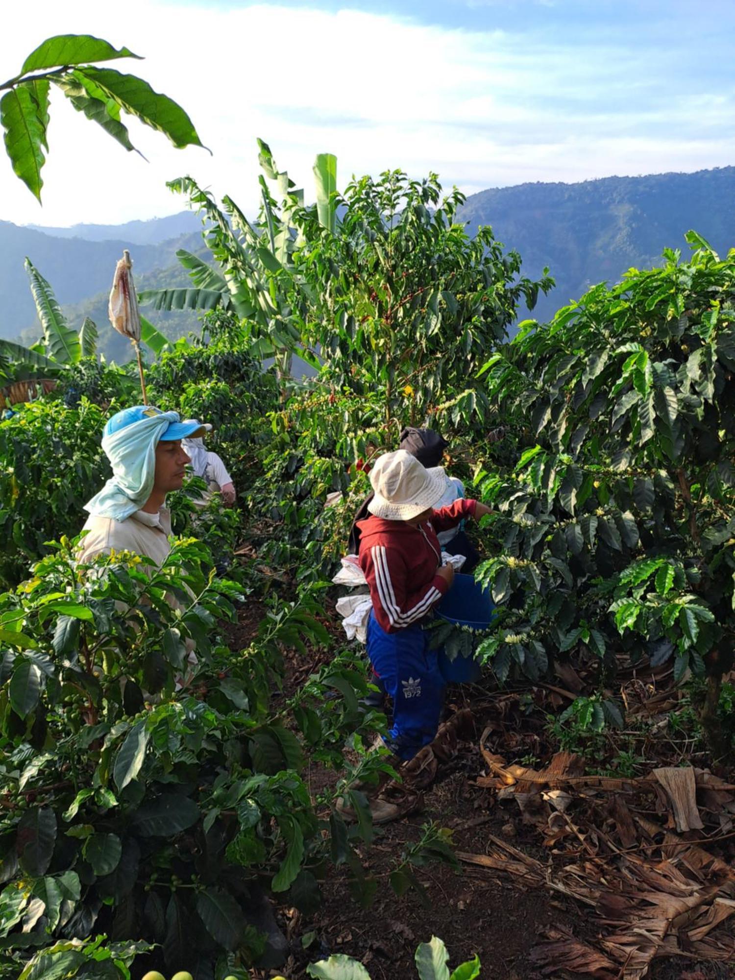 Salgar  Finca La Manchuria المظهر الخارجي الصورة