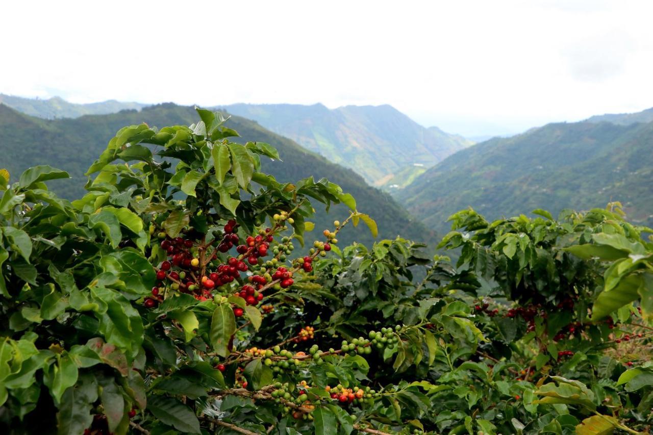 Salgar  Finca La Manchuria المظهر الخارجي الصورة